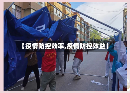 【疫情防控效率,疫情防控效益】