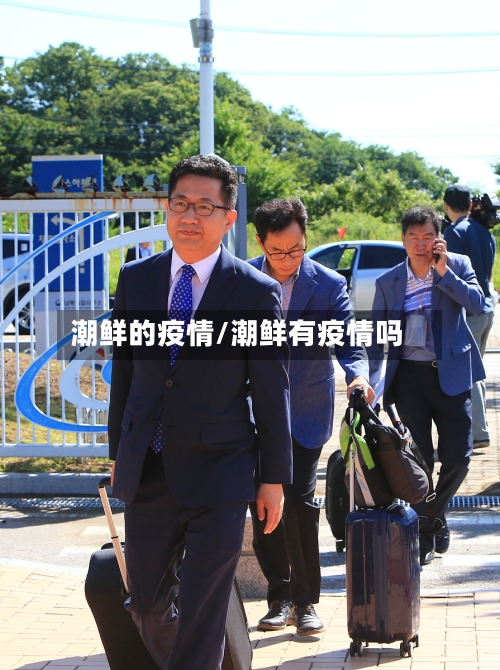 潮鲜的疫情/潮鲜有疫情吗