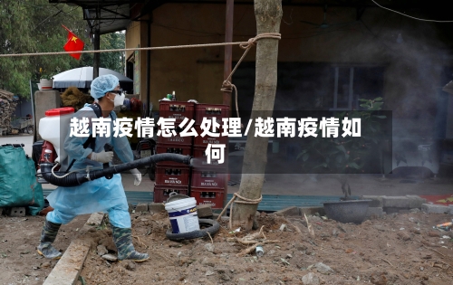 越南疫情怎么处理/越南疫情如何-第2张图片