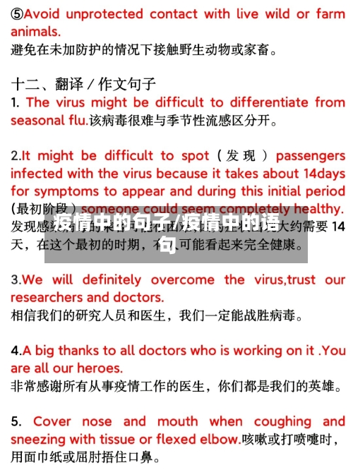 疫情中的句子/疫情中的语句
