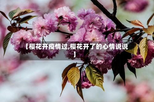 【樱花开疫情过,樱花开了的心情说说】