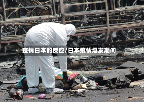疫情日本的反应/日本疫情爆发期间