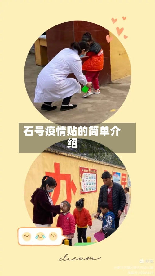 石号疫情贴的简单介绍