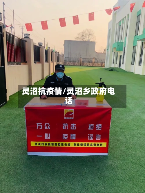 灵沼抗疫情/灵沼乡政府电话