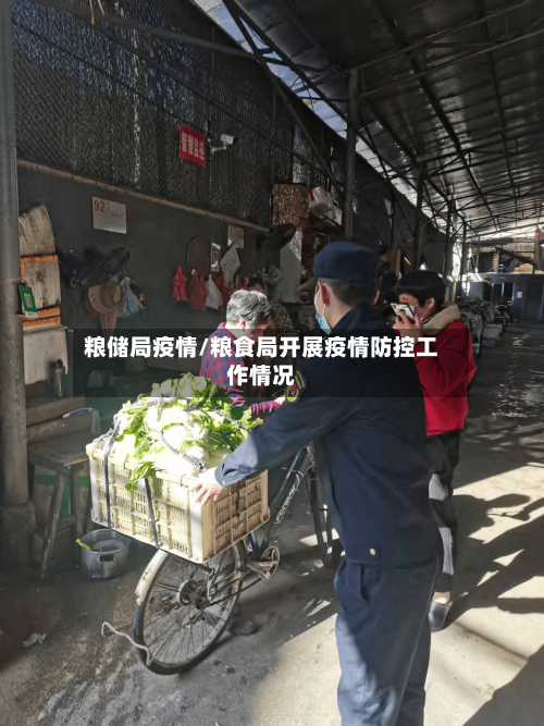 粮储局疫情/粮食局开展疫情防控工作情况