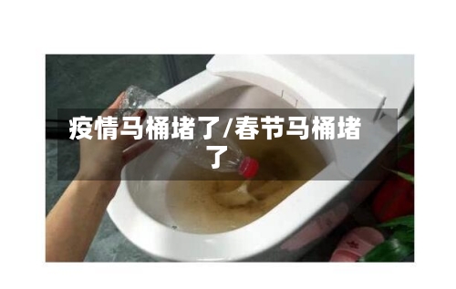 疫情马桶堵了/春节马桶堵了
