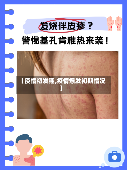 【疫情初发期,疫情爆发初期情况】-第2张图片