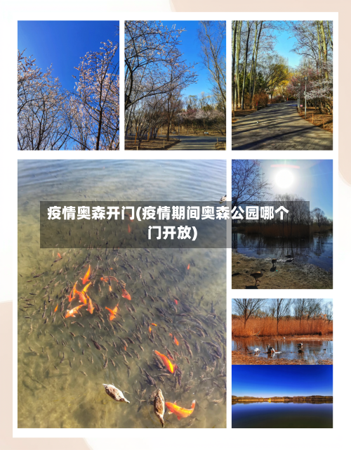 疫情奥森开门(疫情期间奥森公园哪个门开放)