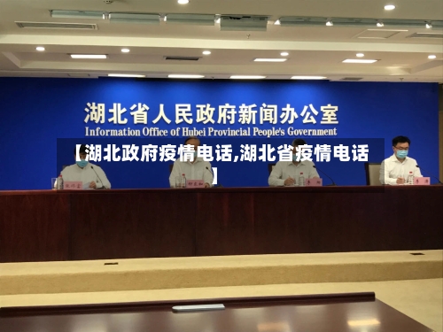 【湖北政府疫情电话,湖北省疫情电话】-第2张图片