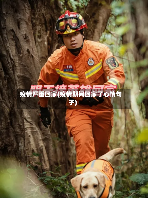 疫情严重回家(疫情期间回家了心情句子)