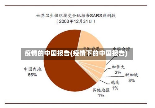 疫情的中国报告(疫情下的中国报告)