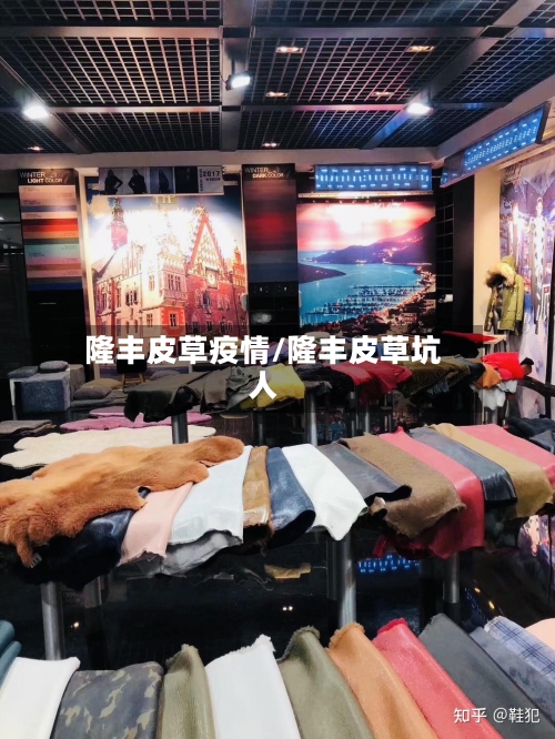 隆丰皮草疫情/隆丰皮草坑人