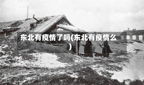 东北有疫情了吗(东北有疫情么)-第2张图片