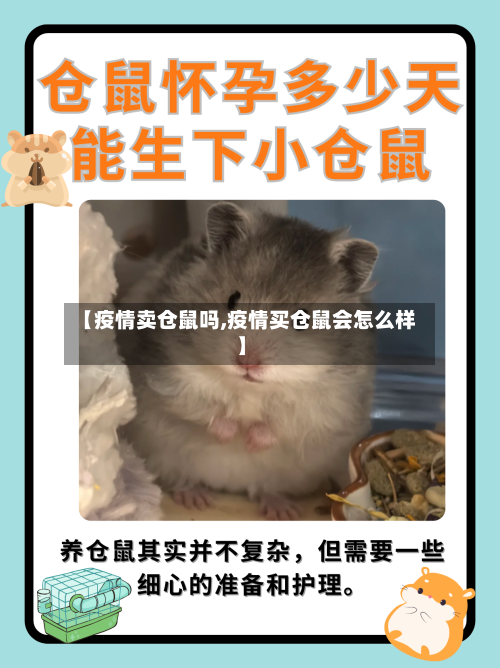 【疫情卖仓鼠吗,疫情买仓鼠会怎么样】