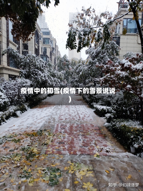 疫情中的初雪(疫情下的雪景说说)-第3张图片
