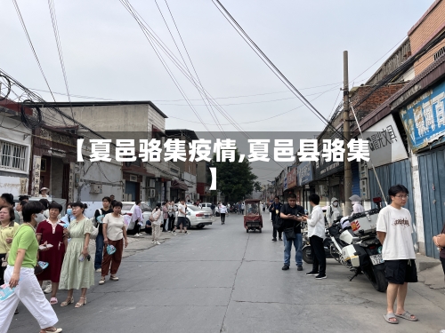 【夏邑骆集疫情,夏邑县骆集】