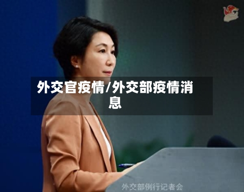 外交官疫情/外交部疫情消息-第3张图片