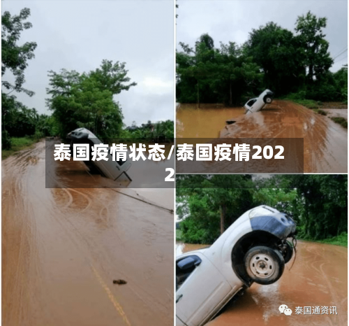 泰国疫情状态/泰国疫情2022-第2张图片