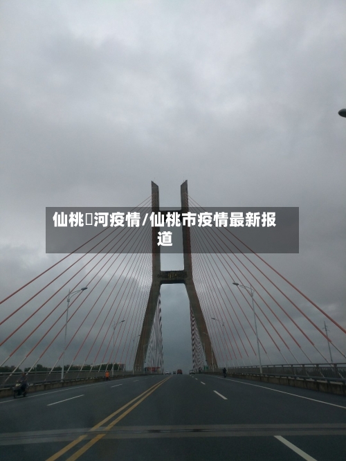 仙桃剅河疫情/仙桃市疫情最新报道-第2张图片