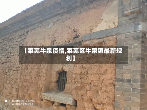 【莱芜牛泉疫情,莱芜区牛泉镇最新规划】-第2张图片