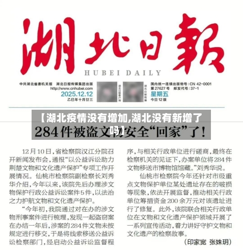 【湖北疫情没有增加,湖北没有新增了吗】-第2张图片