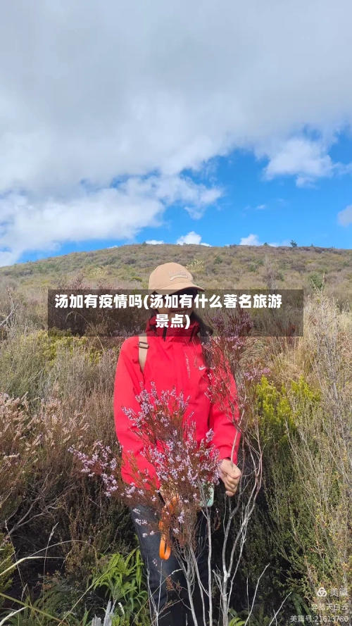 汤加有疫情吗(汤加有什么著名旅游景点)-第2张图片
