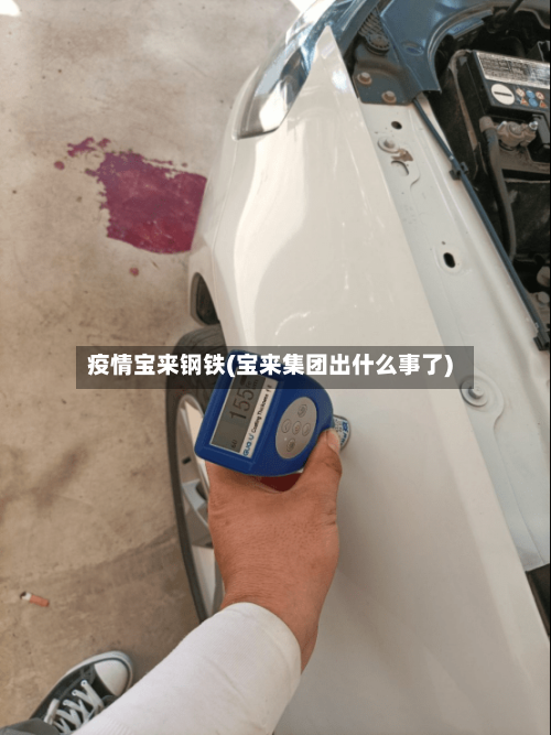 疫情宝来钢铁(宝来集团出什么事了)-第3张图片