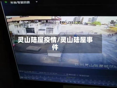 灵山陆屋疫情/灵山陆屋事件