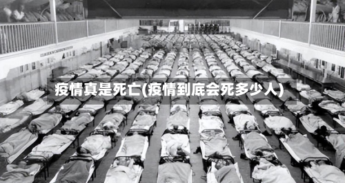 疫情真是死亡(疫情到底会死多少人)