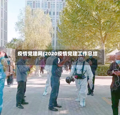 疫情党建网(2020疫情党建工作总结)