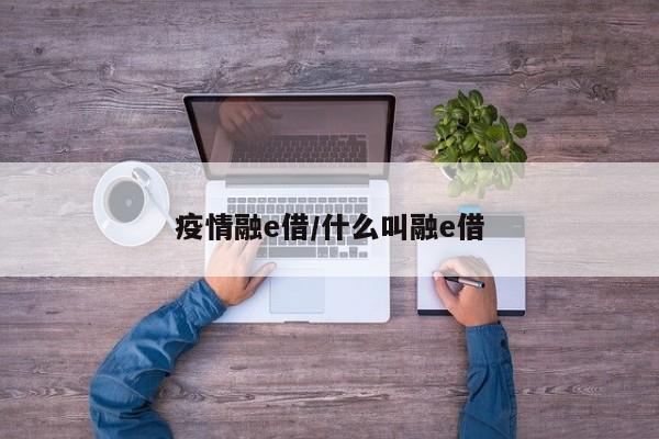 疫情融e借/什么叫融e借