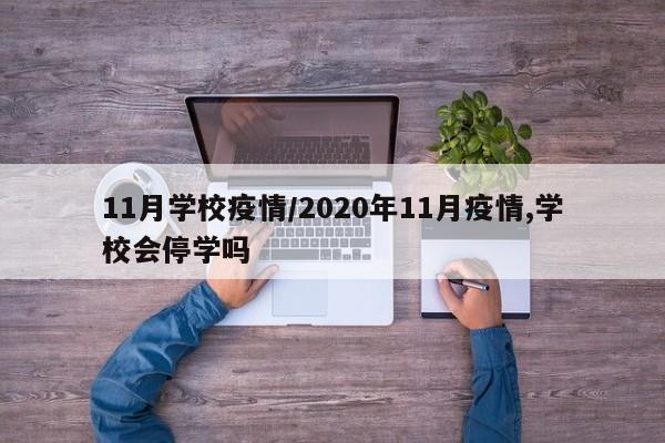11月学校疫情/2020年11月疫情,学校会停学吗